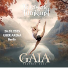 Feuerwerk der Turnkunst 2025